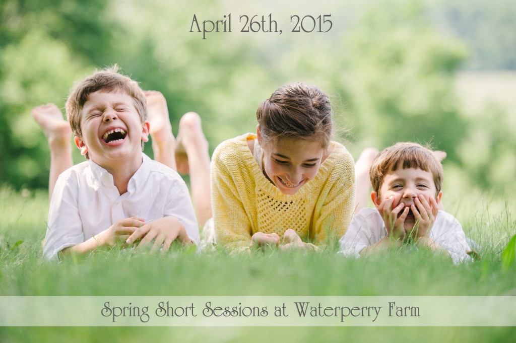 Spring short sessions