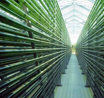 Olio food waste hero picture