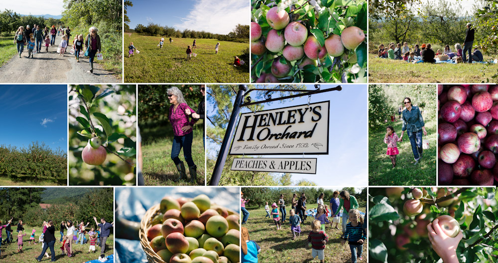 Willla's field trip to Henley's Orchard