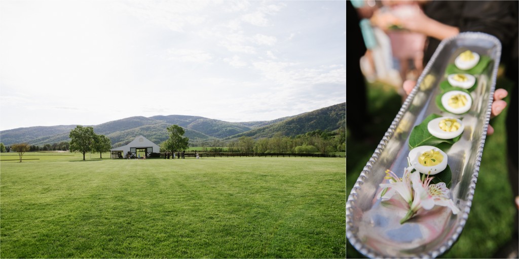 Robert Radifera Photography